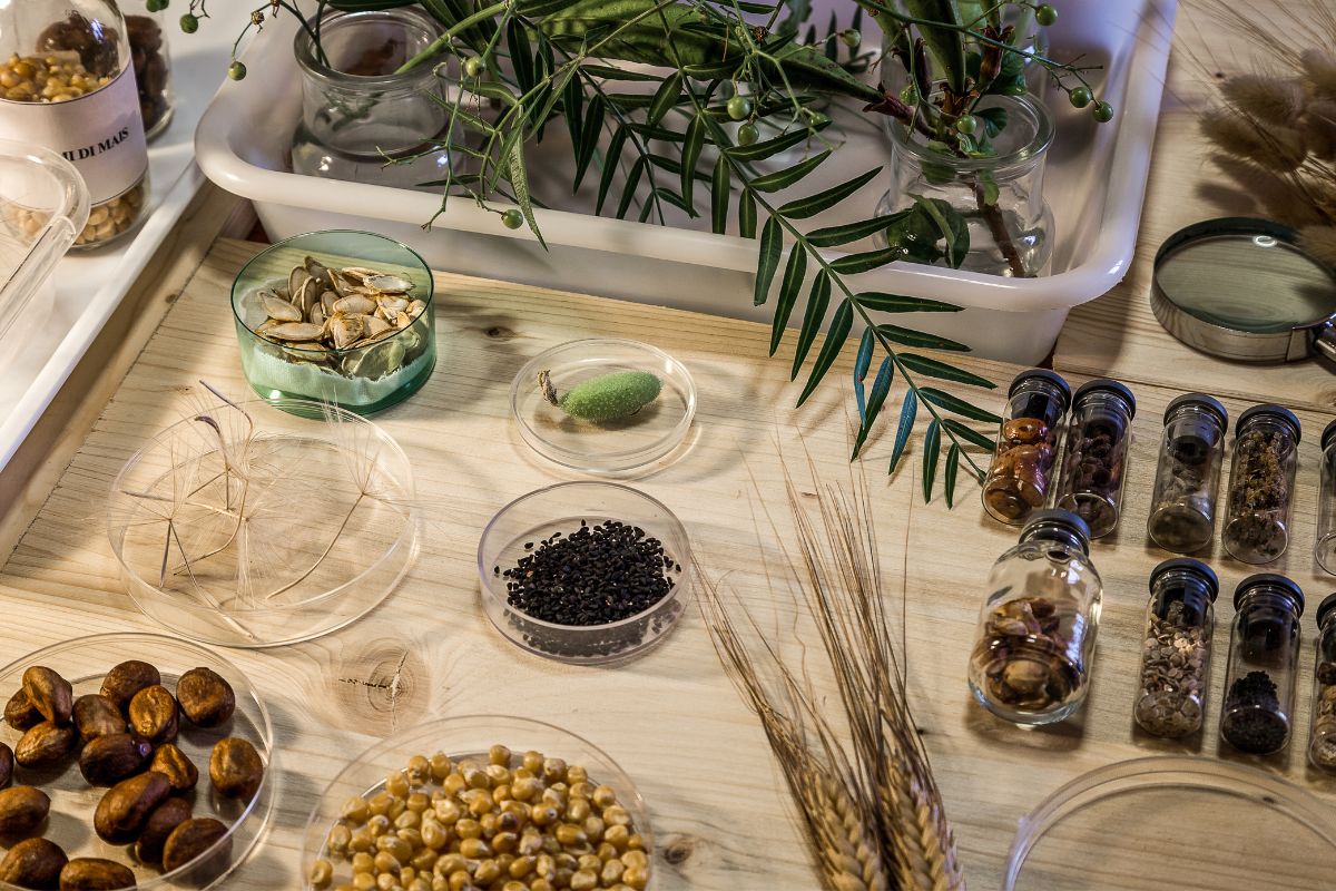 Why Seed and Genetic Material Preservation Matters.jpg